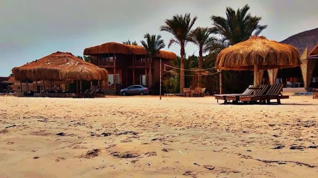 كوين سوير